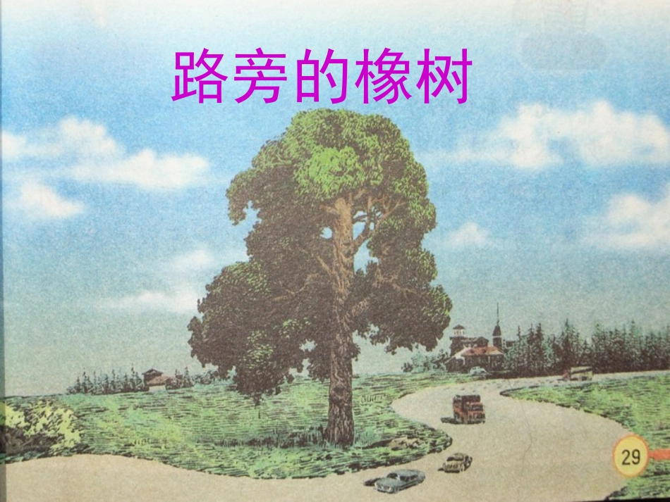 795路旁的橡树_第2页