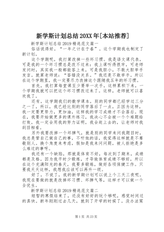 新学斯计划总结20XX年[本站推荐]