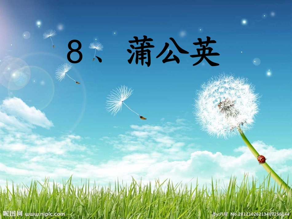 蒲公英 (5)_第1页