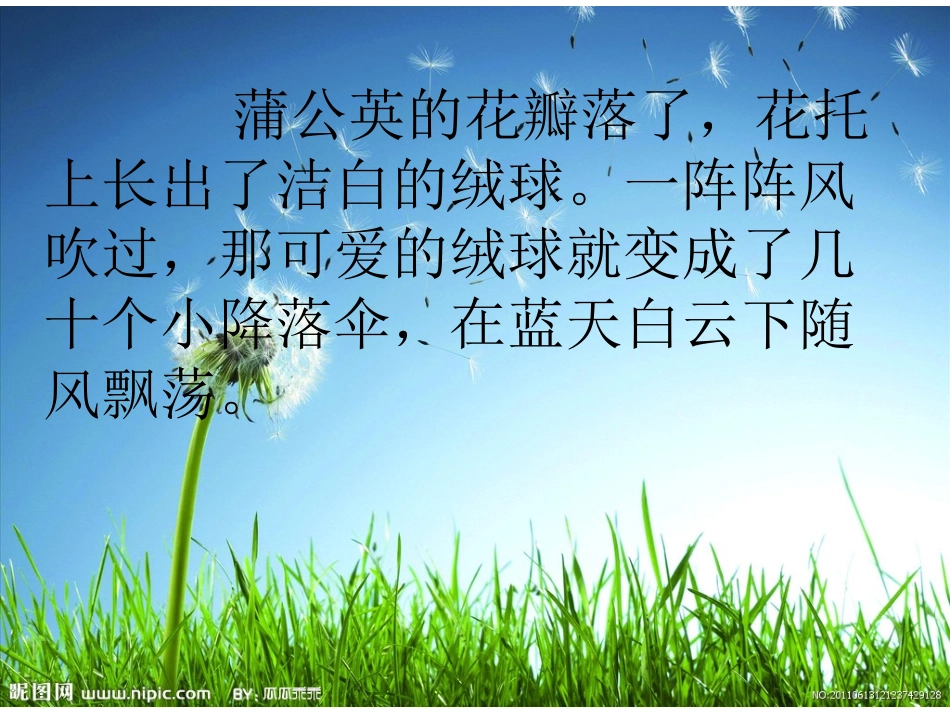 蒲公英 (5)_第3页