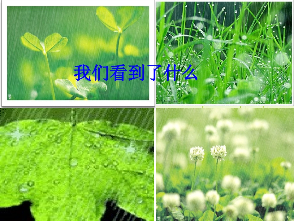 小学一年级音乐课件：小雨沙沙_第3页