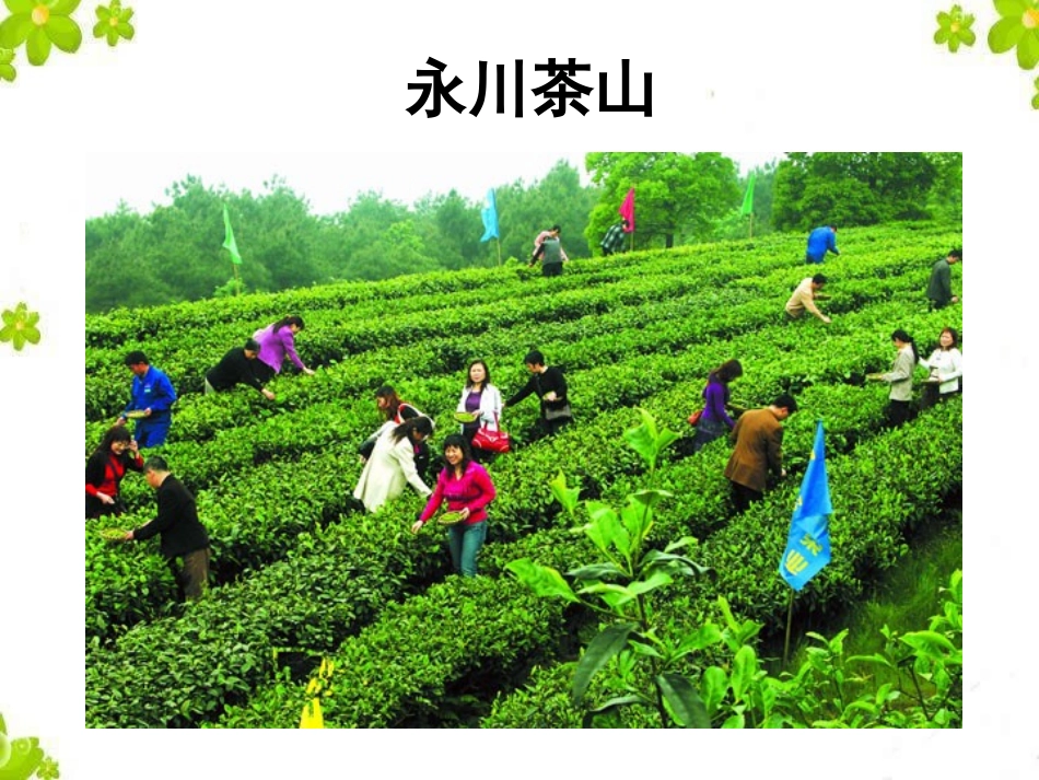 南方与北方的自然差异-(2)_第2页