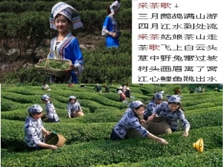 南方与北方的自然差异-(2)