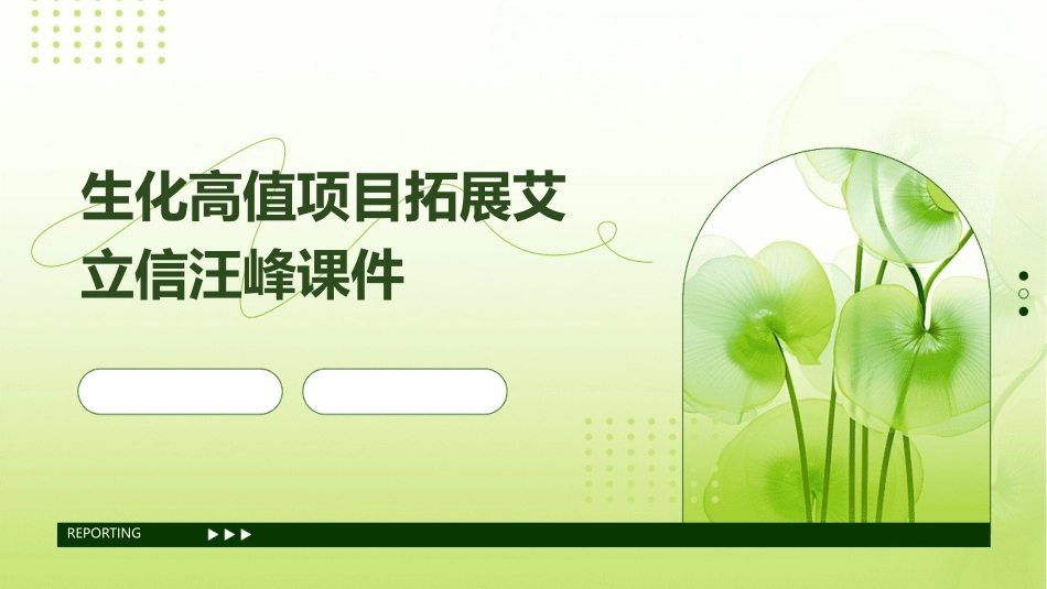 生化高值项目拓展艾立信汪峰课件_第1页