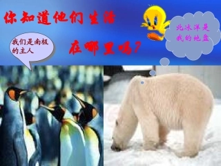 七年级地理极地地区1