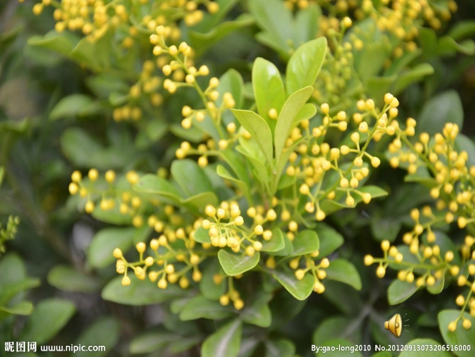 师恩难忘2倪潜梅_第1页