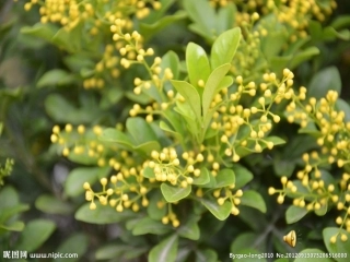 师恩难忘2倪潜梅