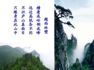 《观察物体——搭一搭》课件