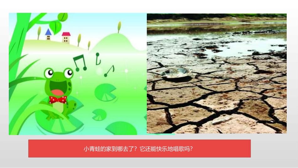 ⒆善待动物朋友_第3页