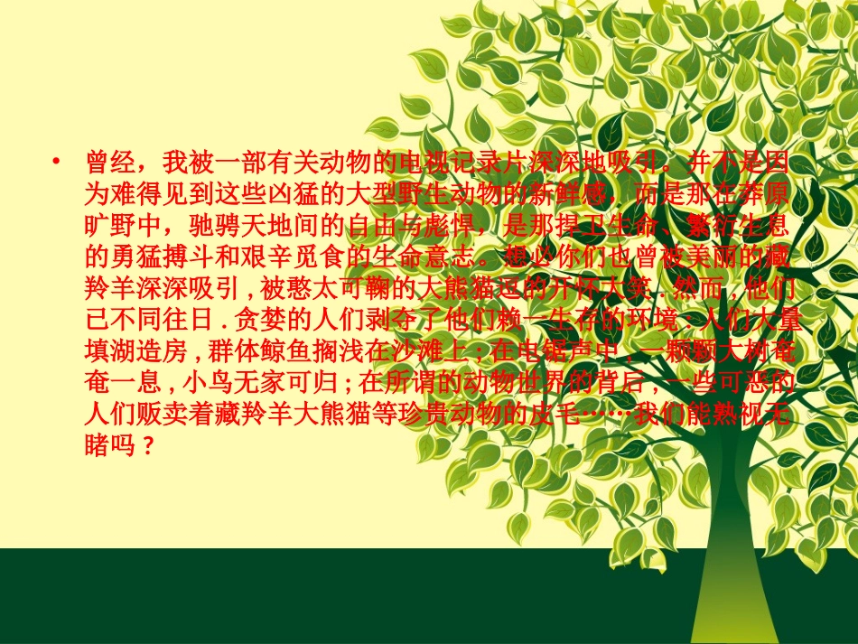 小学四年级环保主题班会_第2页