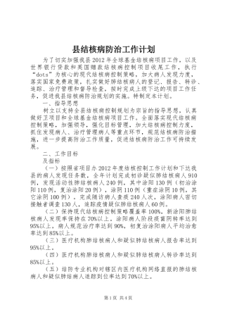 县结核病防治工作计划_1 