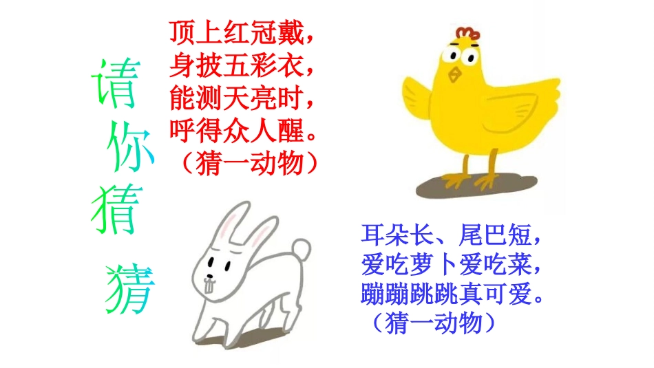 鸡兔同笼-更改后_第1页