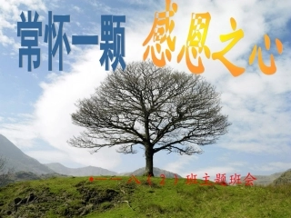“让我们常怀一颗感恩之心：主题班会
