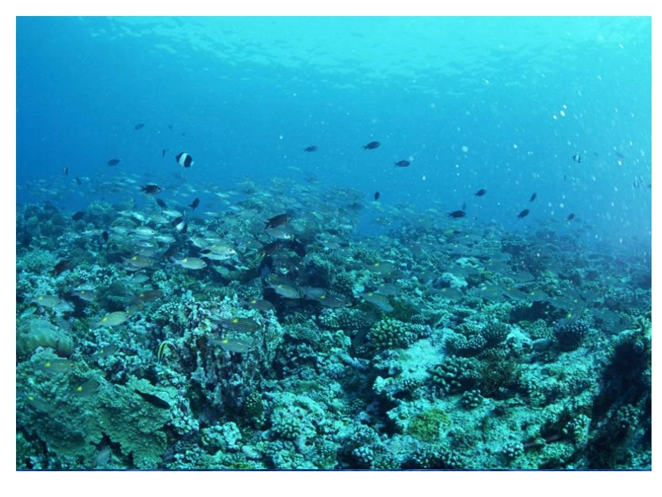 走进大自然 (2)_第2页