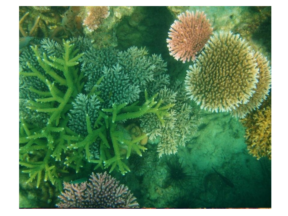 走进大自然 (2)_第3页