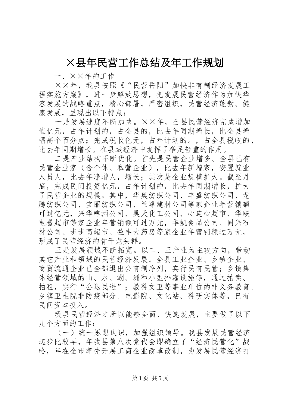 ×县年民营工作总结及年工作规划 _第1页