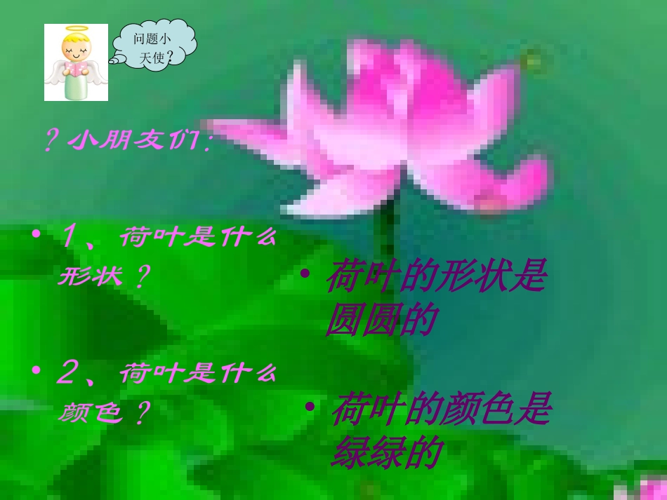 荷叶圆圆ppt课件_第2页