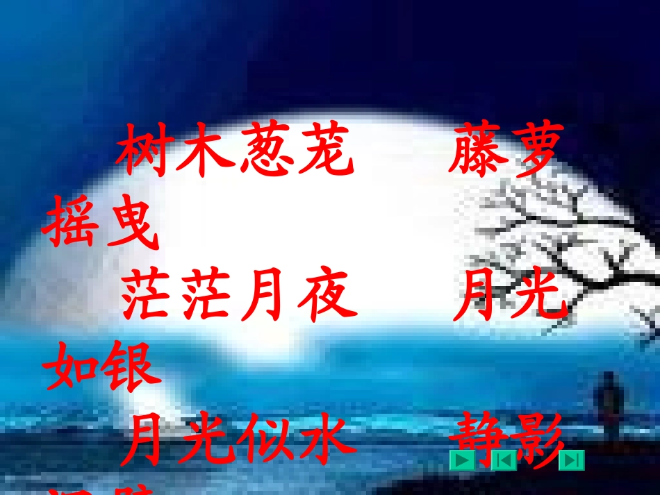《二泉映月》课件 (2)_第3页