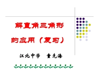 解直角三角形的应用(复习）