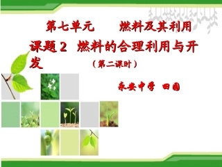 燃料的合理利用和开发修改