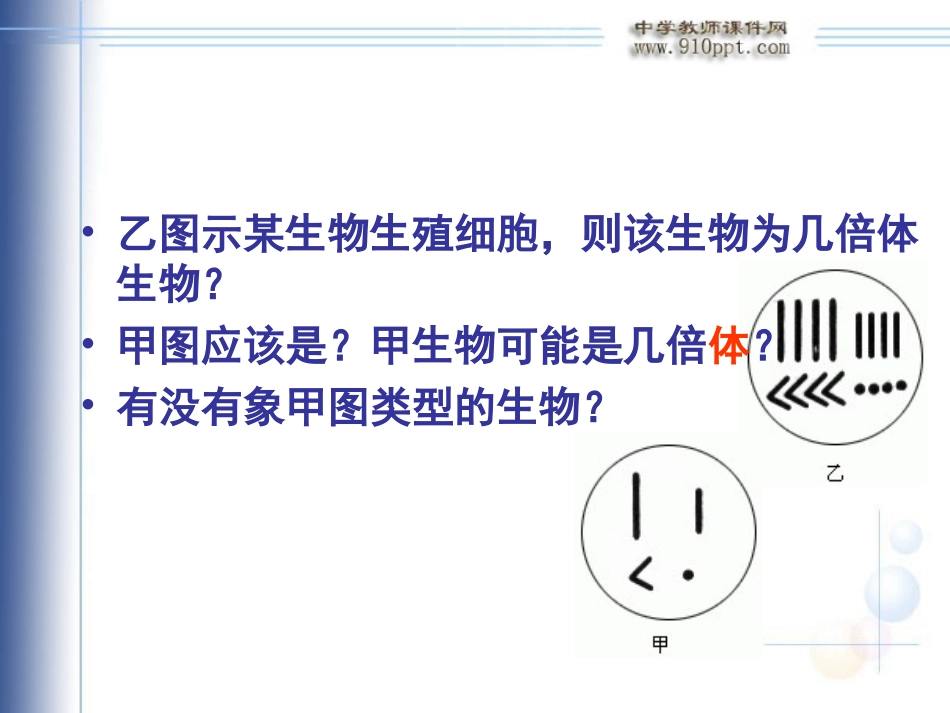 染色体变异6_第2页