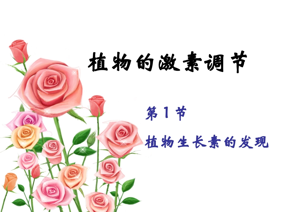 生长素的发现_第3页