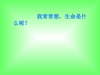 小学四年级语文下册第五单元19生命生命课件