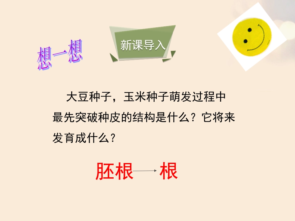 今天新《根的结构与功能》优教课件（共30张PPT）_第2页