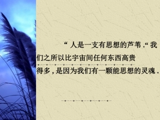 人的高贵在于灵魂ppt