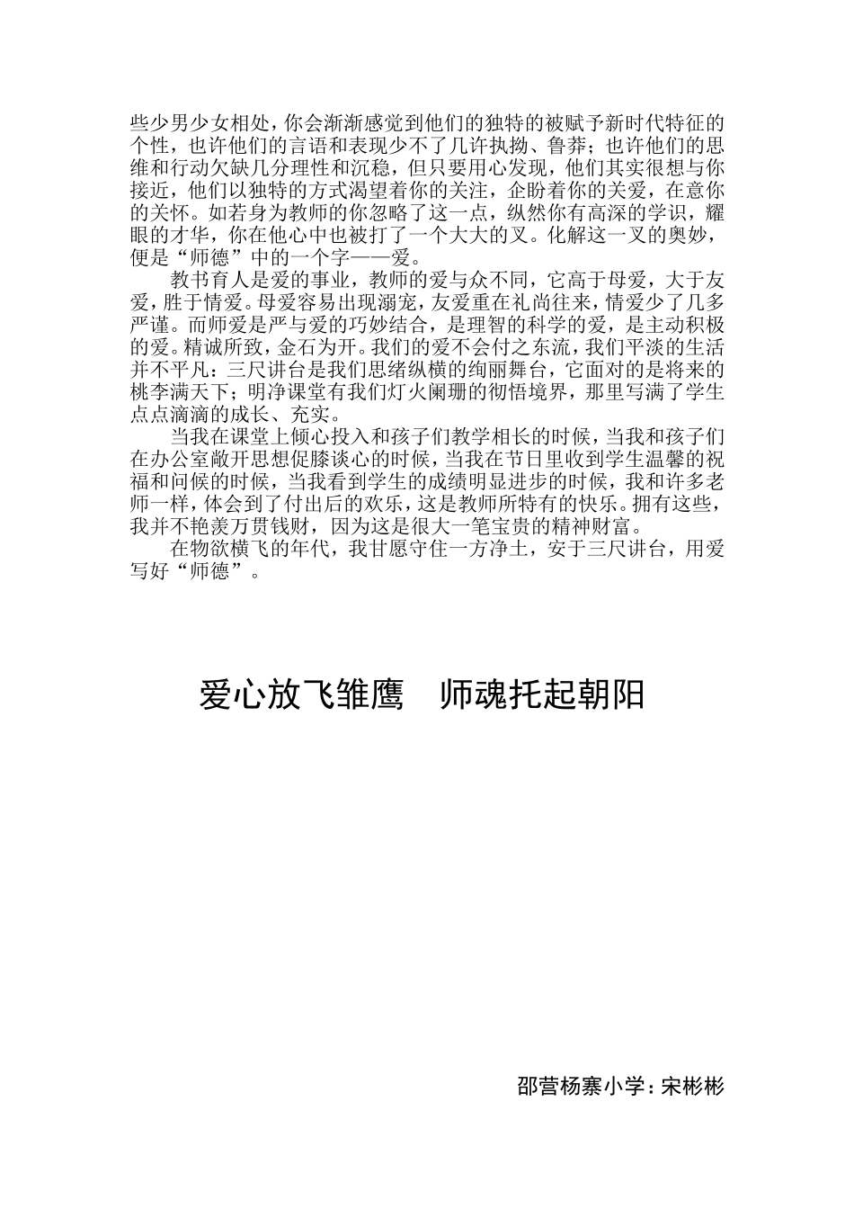 爱心放飞雏鹰师魂托起朝阳_第2页