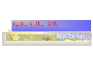 直线、射线、线段华师大版