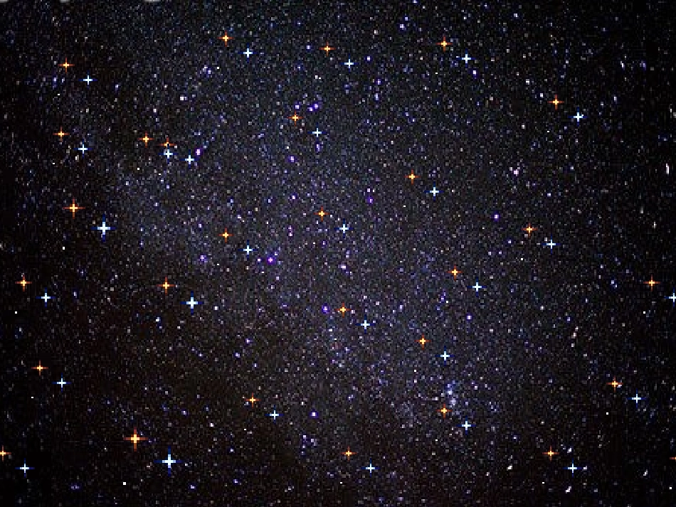 鲜花和星星第一课时_第3页