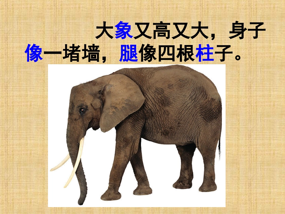 称象PPT课件_第3页