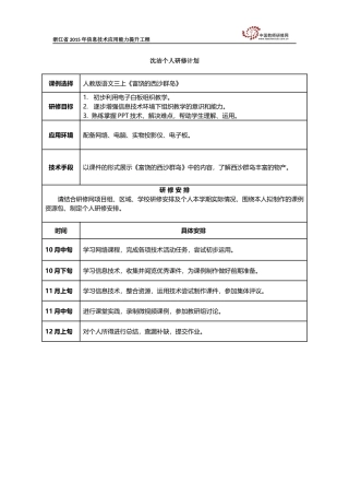 沈洁个人研修计划模板