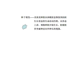 科学·技术·社会-无土栽培
