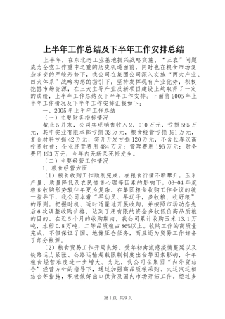 上半年工作总结及下半年工作安排总结 