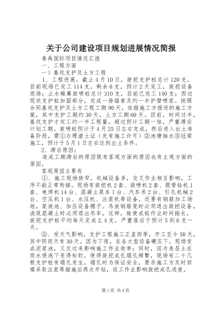 关于公司建设项目规划进展情况简报 