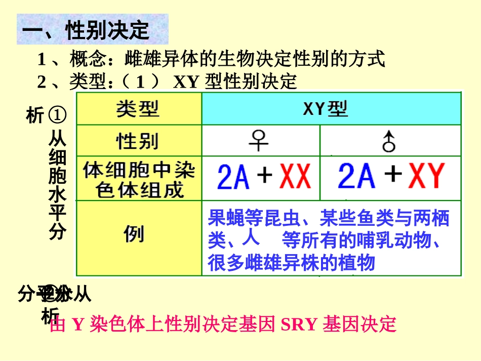 性别决定与伴性遗传人教版_第3页