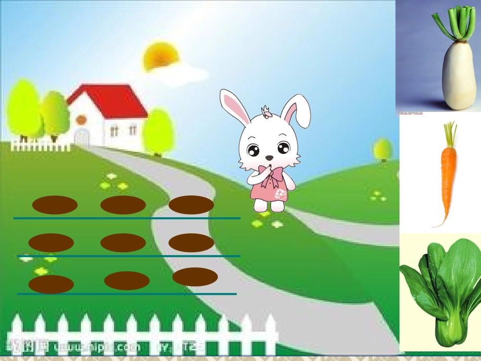 蔬菜苗圃演示文稿_第2页