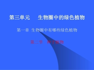 初一生物《种子植物》(上课)PPT课件