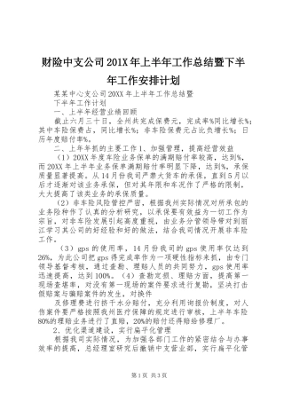 财险中支公司201X年上半年工作总结暨下半年工作安排计划