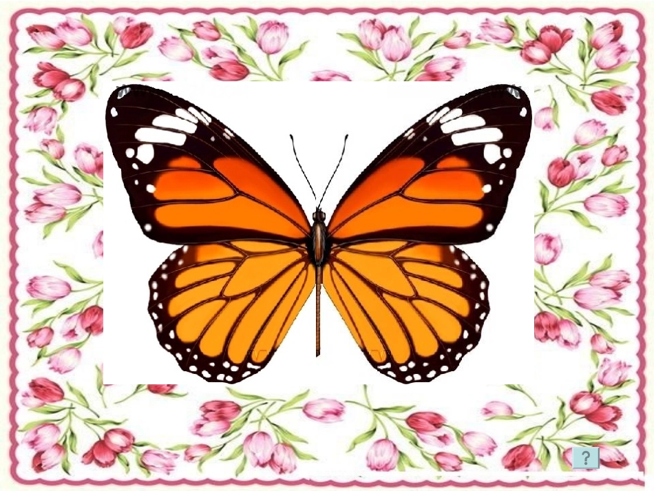 小学数学人教2011课标版二年级轴对称图形-(6)_第2页