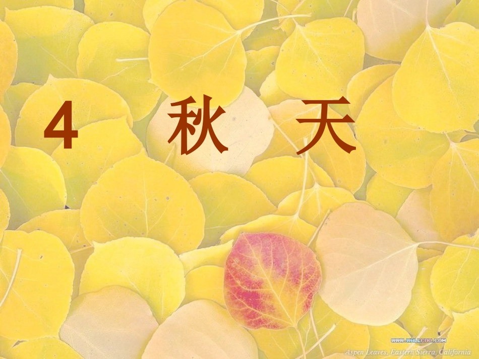 秋天（第一课时）_第1页