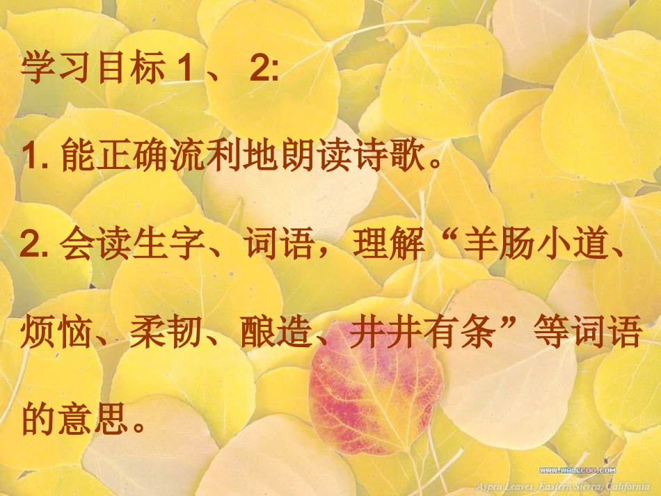 秋天（第一课时）_第2页