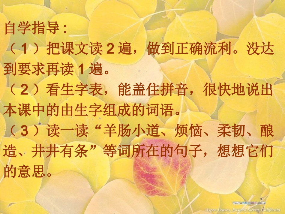 秋天（第一课时）_第3页