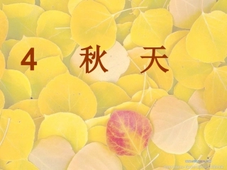 秋天（第一课时）