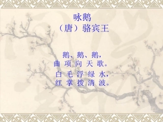 2013-2014上四（3）班13白鹅