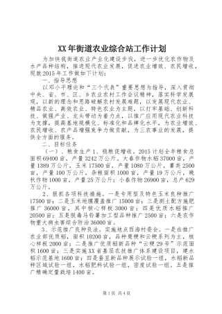 XX年街道农业综合站工作计划 
