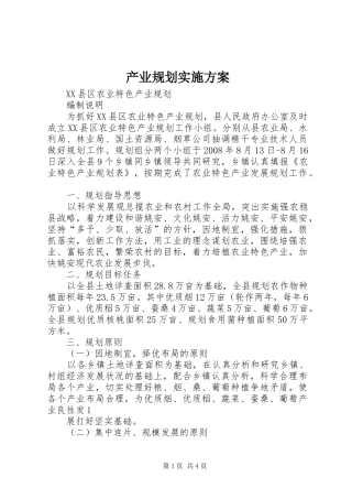 产业规划实施方案 