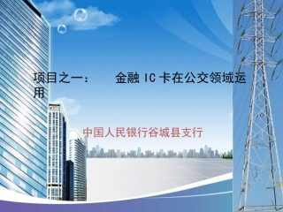 谷城金融IC卡展示